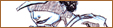 dessin Scrap16